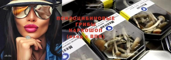 Альфа ПВП Сясьстрой