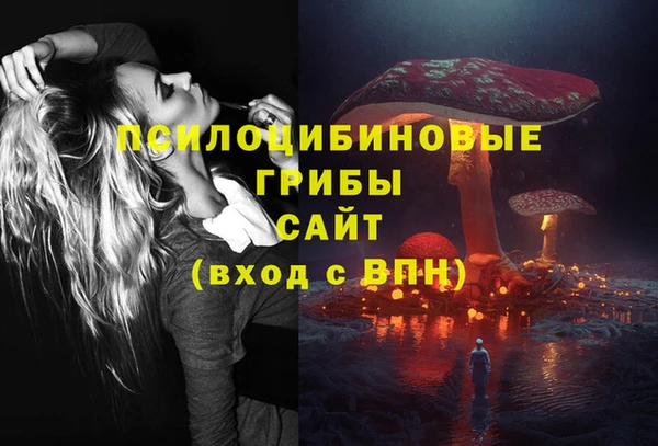 каннабис Тайга