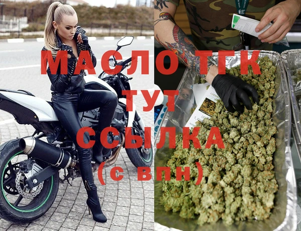 2c-b Инсар